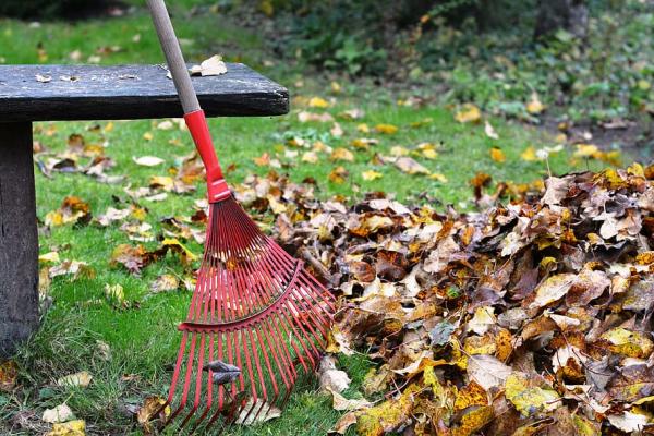 Image for event: Fall Garden Clean-Up